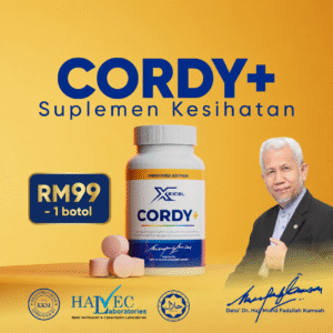 Cordy+ 1 Box