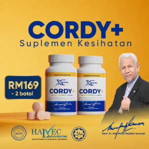 Cordy+ 2 Box