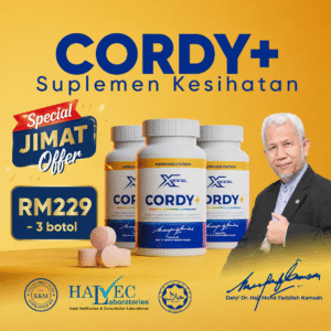 Cordy+ 3 Box